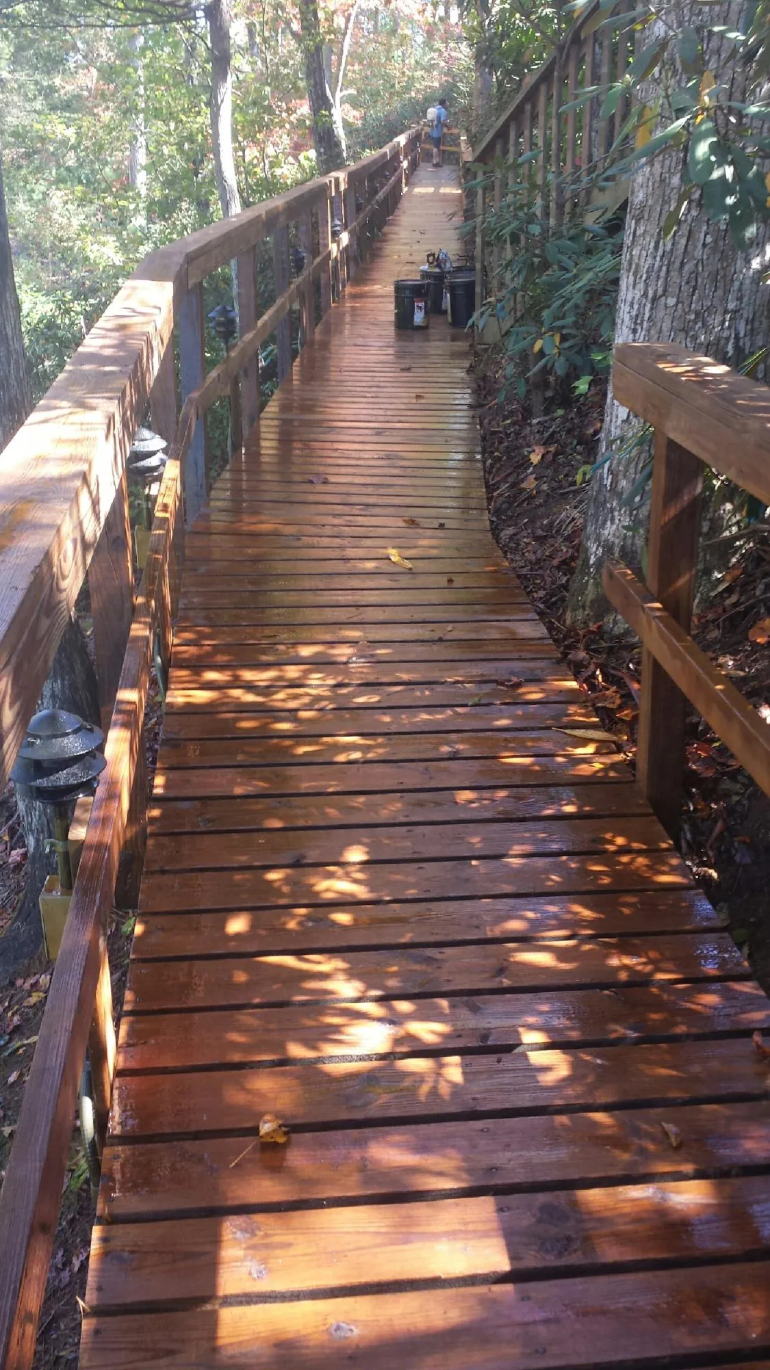 Freshly stained wood walkway winding through the woods in Hamlin